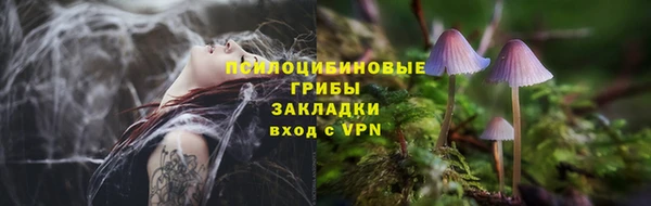 дурь Абаза